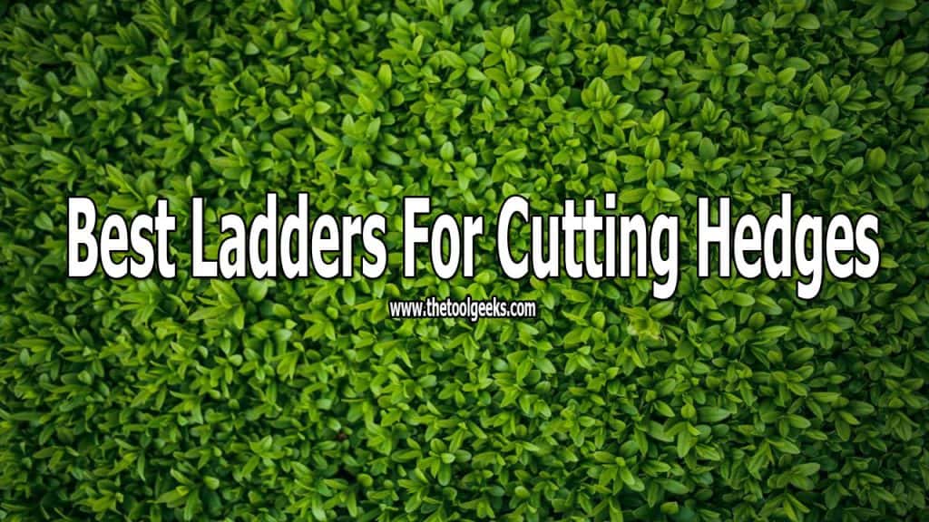 Best Ladder For Cutting Hedges (2025) Give Your Garden A New Look!
