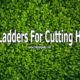 Best Ladder For Cutting Hedges: 5 Ladders Tested & Reviewed