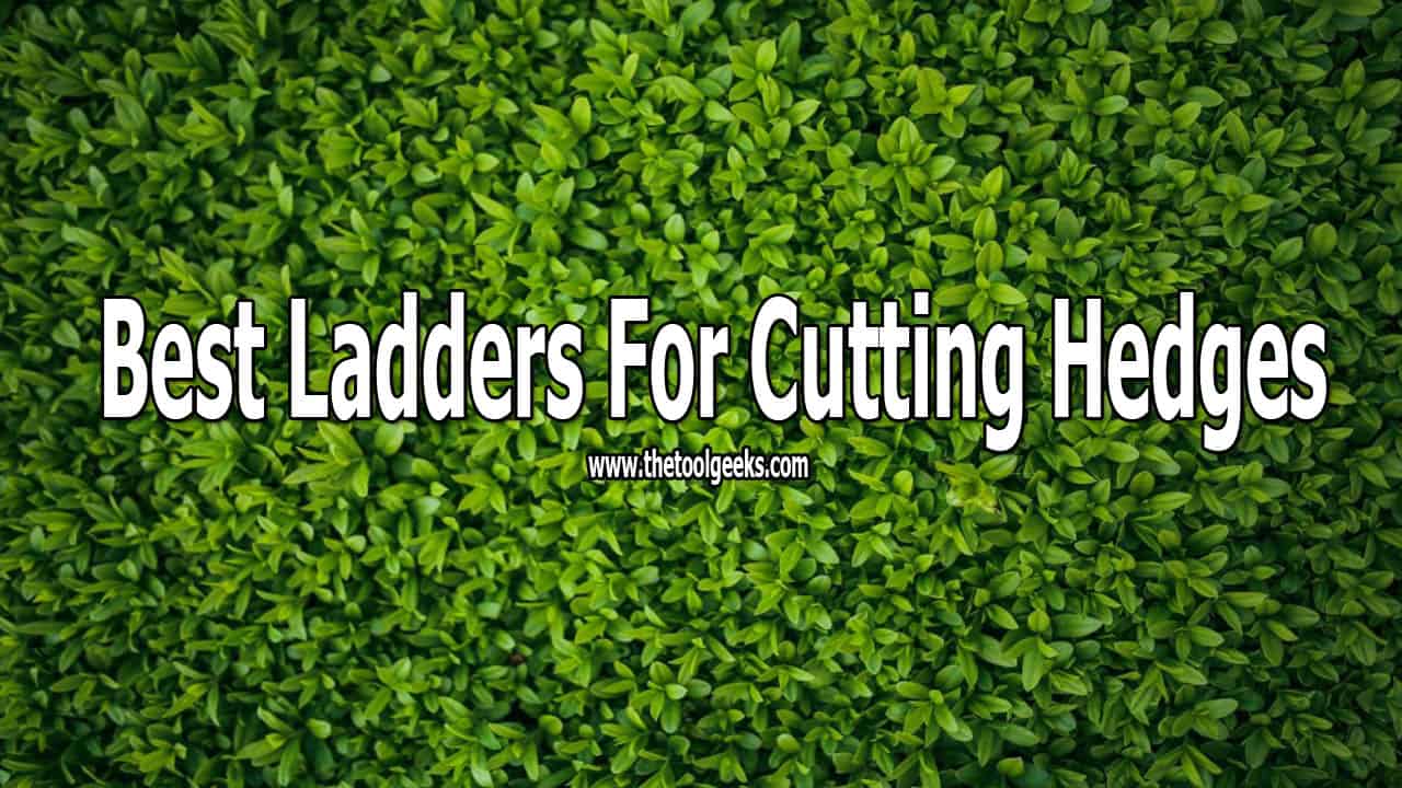 If you have a garden then you surely have hedges. While time passes by these hedges start to grow. You have to cut them entirely or trim them. Regardless of the choice, you need a ladder. There are a lot of ladders available. But, I suggest you check our best ladders for cutting hedges list.