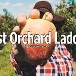 You have different fruit in your orchard. When it's time to pick them up, you need to use a ladder. The ground on orchards is soft so you need stable ladders that won't shake easily. If you are looking for orchard ladders then make sure to check the list that we made about the best orchard ladders. We included 5 different ladders and reviewed them.