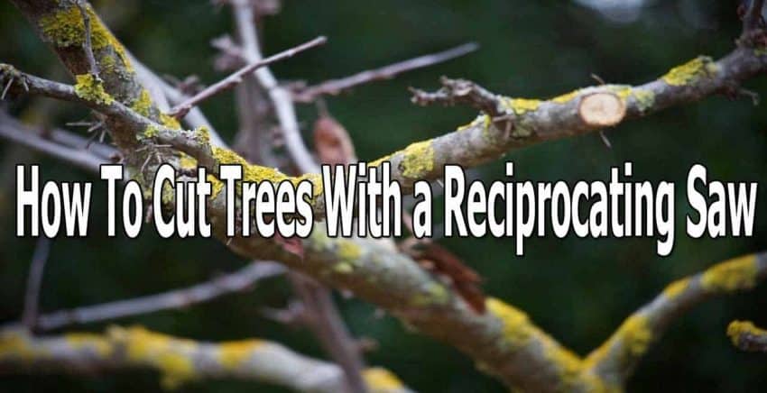 Sometimes you have to cut down your trees, and the only tool that you have around is a reciprocating saw. That's why knowing how to cut trees with a reciprocating saw is needed. Reciprocating saws are easy to cut and very effective when it comes to tree pruning.