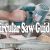 5 Best Circular Saw Guide Rails (Make Even Cuts)