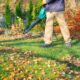 Best Leaf Vacuums Mulchers Shredders Electric and Gas for Efficient Yard Cleanup